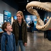 Image 4: SharkCon Admission Tickets