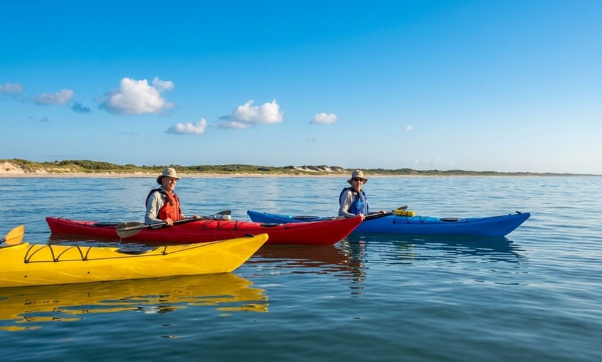 Image 2: Guided kayak tour with dolphin and manatee sightings in Cocoa Beach