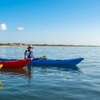 Image 2: Guided kayak tour with dolphin and manatee sightings in Cocoa Beach