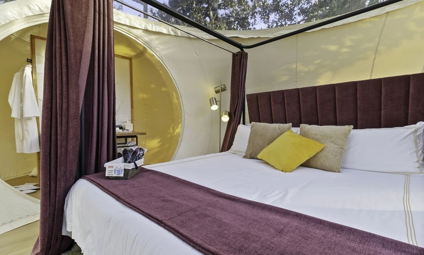 Image 31: Bubble Dome Glamping near Houston with Pool