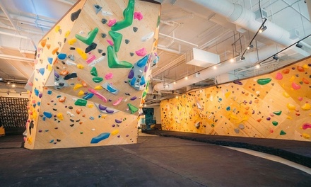 Day Pass with Gear Rental: 1 Adult - Las Rocas Climbing Gym