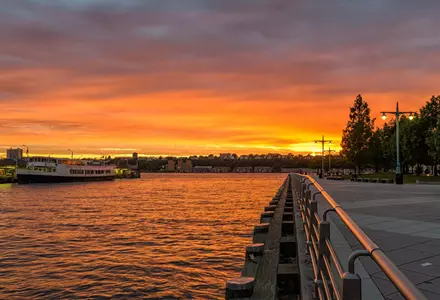 Pier 84, Hudson River Park