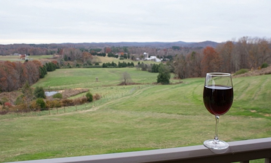 Image 3: Enjoy a Vineyard Experience with Wine Tasting and Take-Home Bottles