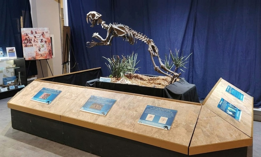 Image 3: Meet Cheryll the Triceratops: Museum Admission for Up To Six People