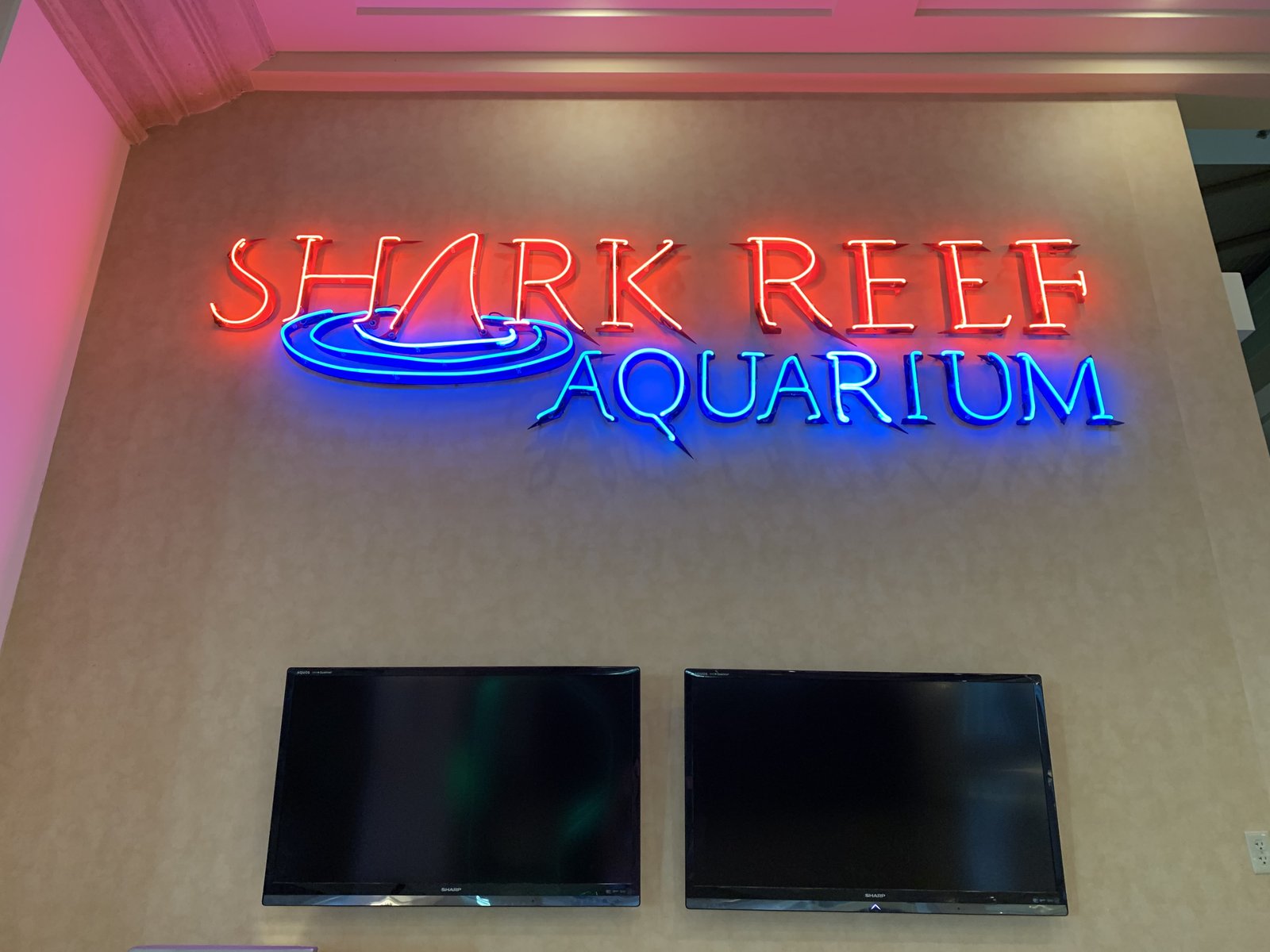 Shark Reef Aquarium