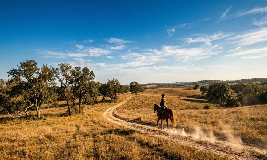 Image 3: One or Two 60-Minute Horseback-Riding Lessons (46% Off)
