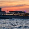 Image 5: 2-Hour Sunset Cruise with Whale & Dolphin Sightings — Jersey Shore