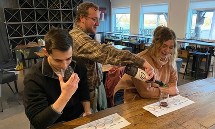 Guided Wine Tasting + Souvenir Glass for 1 Person - Old York Cellars