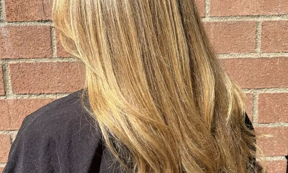 Enjoy Haircut with Gloss or Color and Highlights Packages