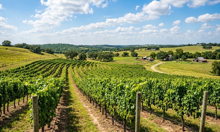 Image 4: Enjoy Wine Tasting and Take-Home Glasses with Charcuterie
