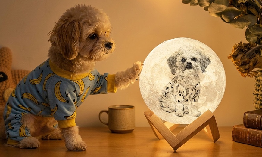 Image 4: 86% Off Personalized Moon Lamp from Justyling