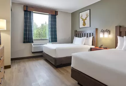 Grizzly Bear Suite