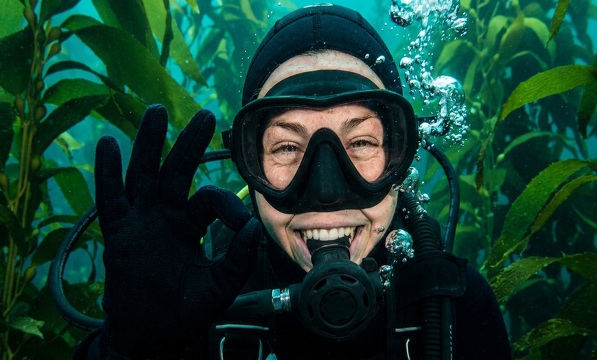 Image 6: Dive Into Adventure with Scuba Diving Class Plus Boat Diving
