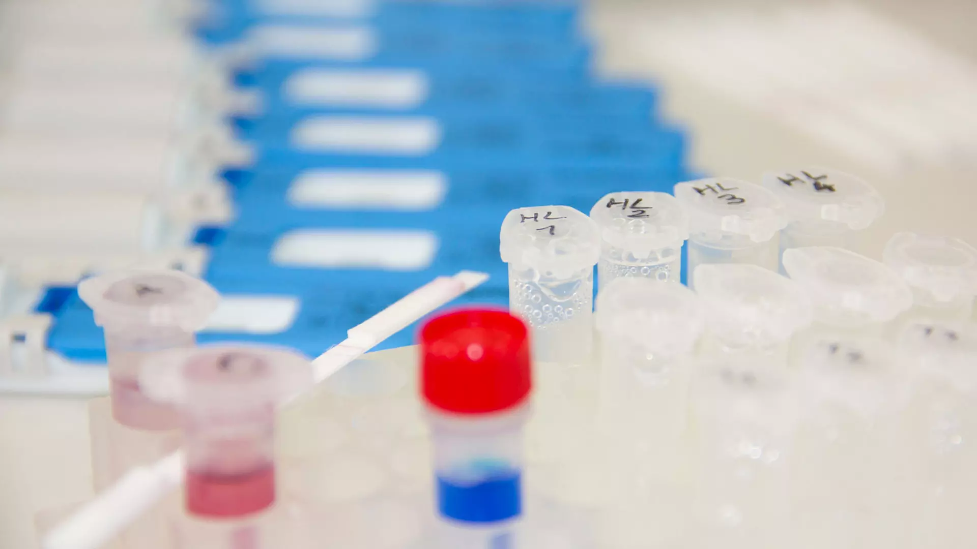 5-, 10- or 12-Panel Rapid Urine Test