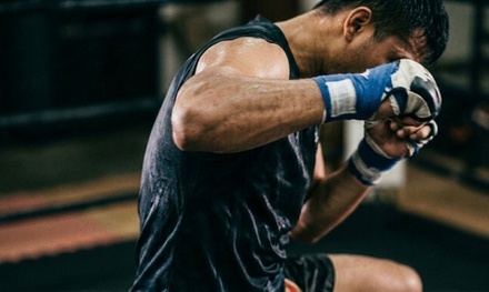 Basic Muay Thai/ Kickboxing class - Tohok Ki United Martial Arts Academy