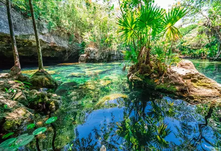 Ruta de los Cenotes