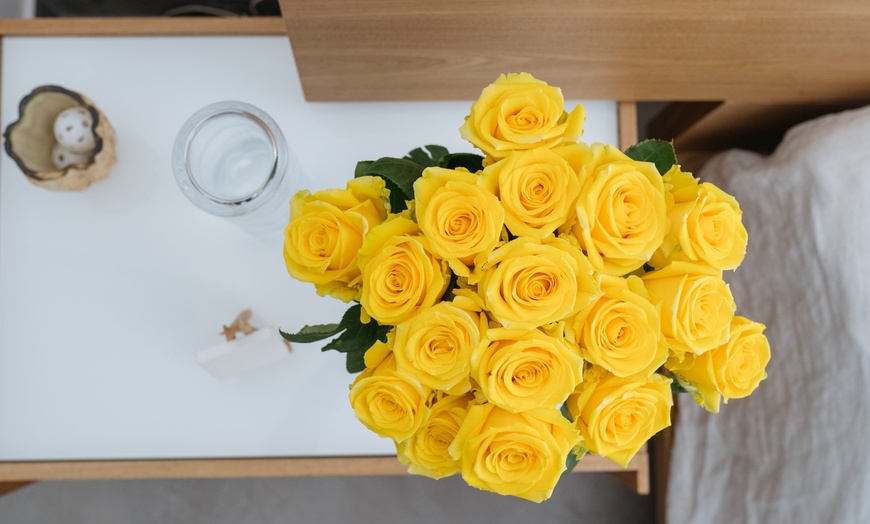 Image 28: *FLASH SALE* 24 or 36ct Roses Luxury Long Stem Rose Bouquet from Rose Farmers | Farm Fresh Roses (Up to 74% Off)