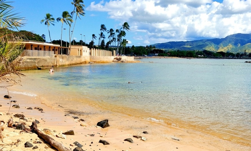 Image 3: Explore Oahu: Full-Day Tour with Snorkeling for Up to Five People!