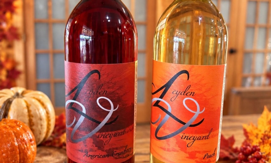 Image 6: Sip, Savor and Enjoy: Wine Tasting for 2 or 4 at Leyden Farm & Winery