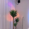 Image 1: Relaxing Couples or Solo Massage with Aromatherapy