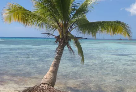 Isla Saona