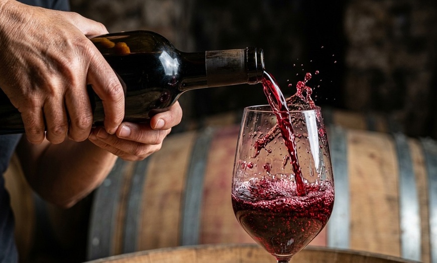 Image 6: Enjoy a Vineyard Experience with Wine Tasting and Take-Home Bottles
