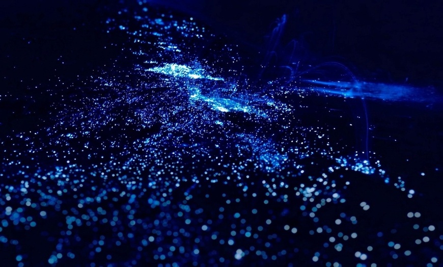 Image 4: Kayak Tours & Rentals: Bioluminescence and Whale Watching