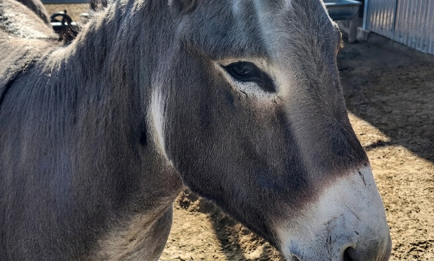 Image 14: Petting Zoo Admission Deals & Discounts