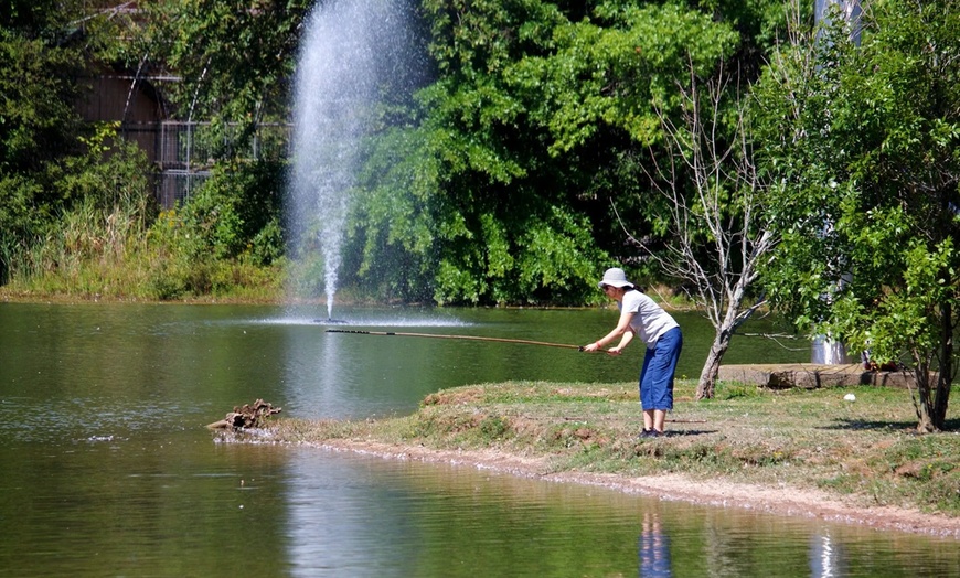 Image 21: Safari Niagara: Animal Encounters & Thrilling Adventures 