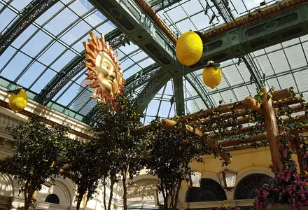 Bellagio Conservatory & Botanical Gardens