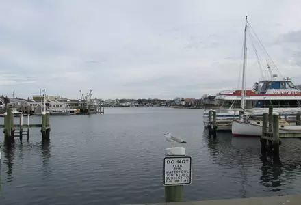 Hyannis Harbor