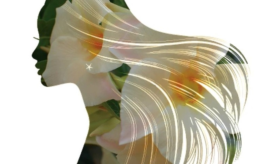 Image 8: Cut w/ Full Balayage or Root Touch Up, Deep Conditioning w/ Blow Dry
