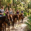 Image 6: Horseback Riding & Swimming with Horses at In The Breeze Ranch
