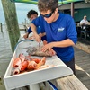 Image 5: 6-Hour Deep Sea Fishing: License, Rods, Bait & Fillet Service Included 