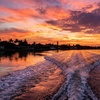 Image 5: 2-Hour Scenic Wildlife Boat Tour with $5 Vouchers to Grills Riverside