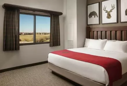 Majestic Bear Suite