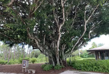Naples Preserve