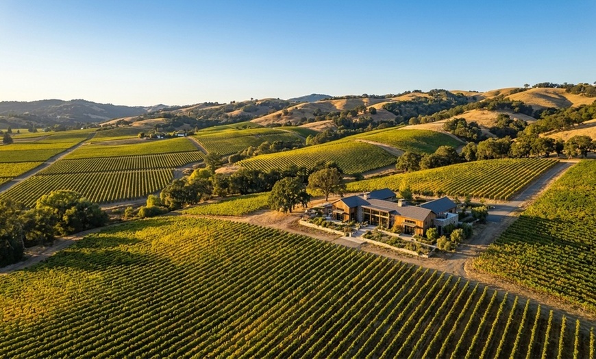 Image 4: Up to 20% Off on Wine Tasting at Robledo Family Winery