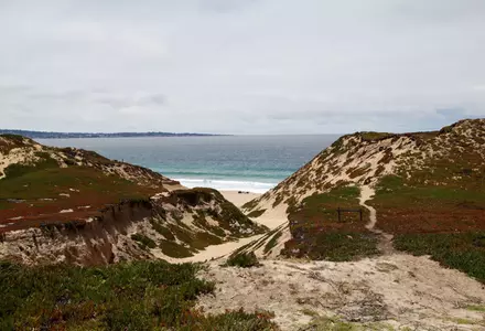 Fort Ord Dunes State Park