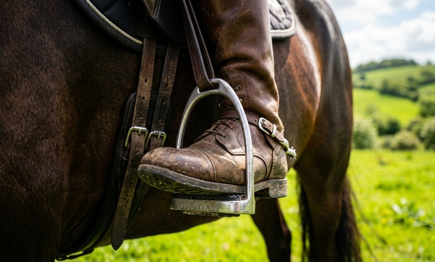 Image 4: Guided Open Field Horseback Riding Lessons at King Equestrian Center