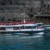 Image 2: Niagara Falls Day Trip from New York City with Amigo Tours
