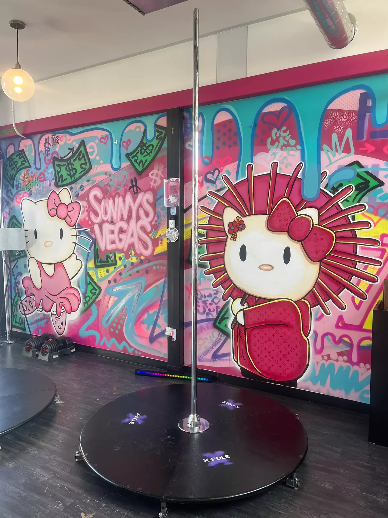 Experience Sunny's Pole Fitness with 1, 3, 5, or 10 Classes