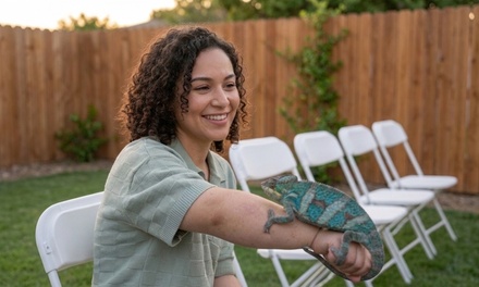 1-Hour Reptile Party for 2 to 20 People - Bott Reptiles
