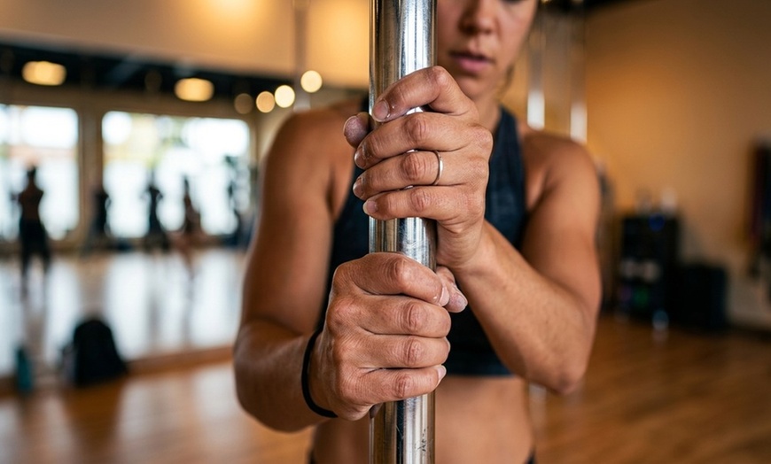 Image 5: Discover Flaunt Fitness Bootcamp's Sexy Fitness Classes