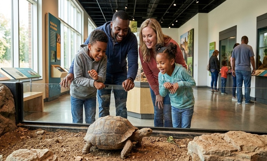 Image 2: Admission to Santa Fe's Bug and Reptile Museum 