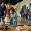 Image 2: Admission to Santa Fe's Bug and Reptile Museum 