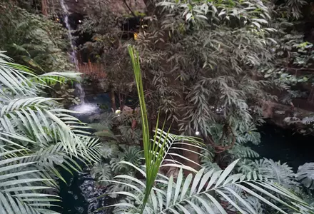 The Dallas World Aquarium