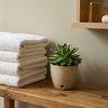 Image 3: Experience Smoothness with Milas Beauty Studio's Brazilian and Underarm Wax Options, up to 35% Off