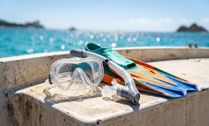 Image 2: Up to 50% Off on Snorkeling at Honolulu Snorkel Company