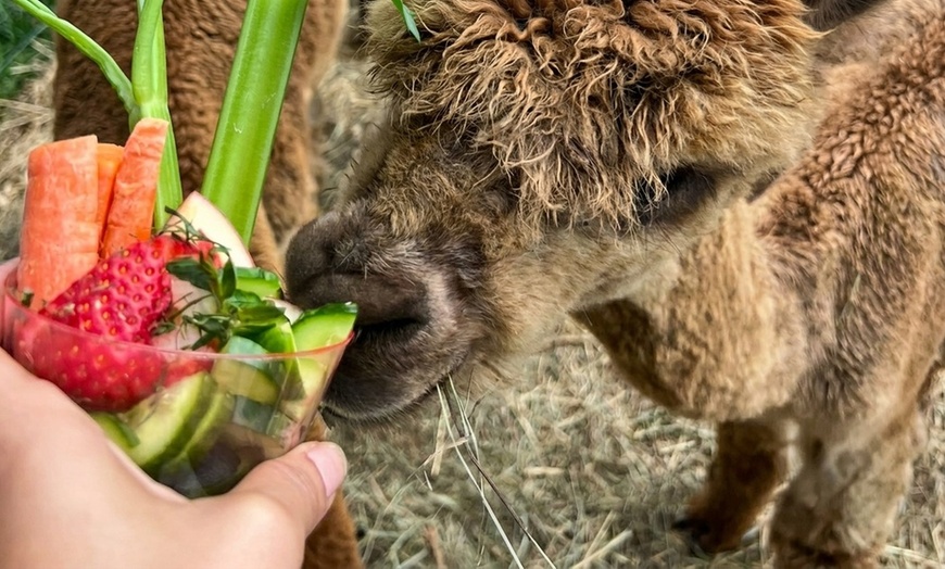 Image 3: Hands-On Farm Animal Fun at EZ's Rescue Ranch